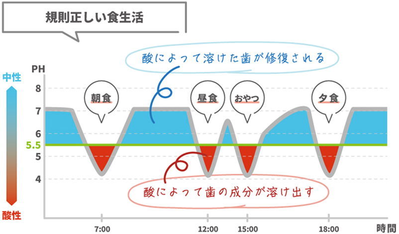 規則正しい食生活における口腔内pHの変化を示したグラフ。食事やおやつのたびにpHが低下して歯が溶け、時間の経過とともに回復する様子が描かれている。