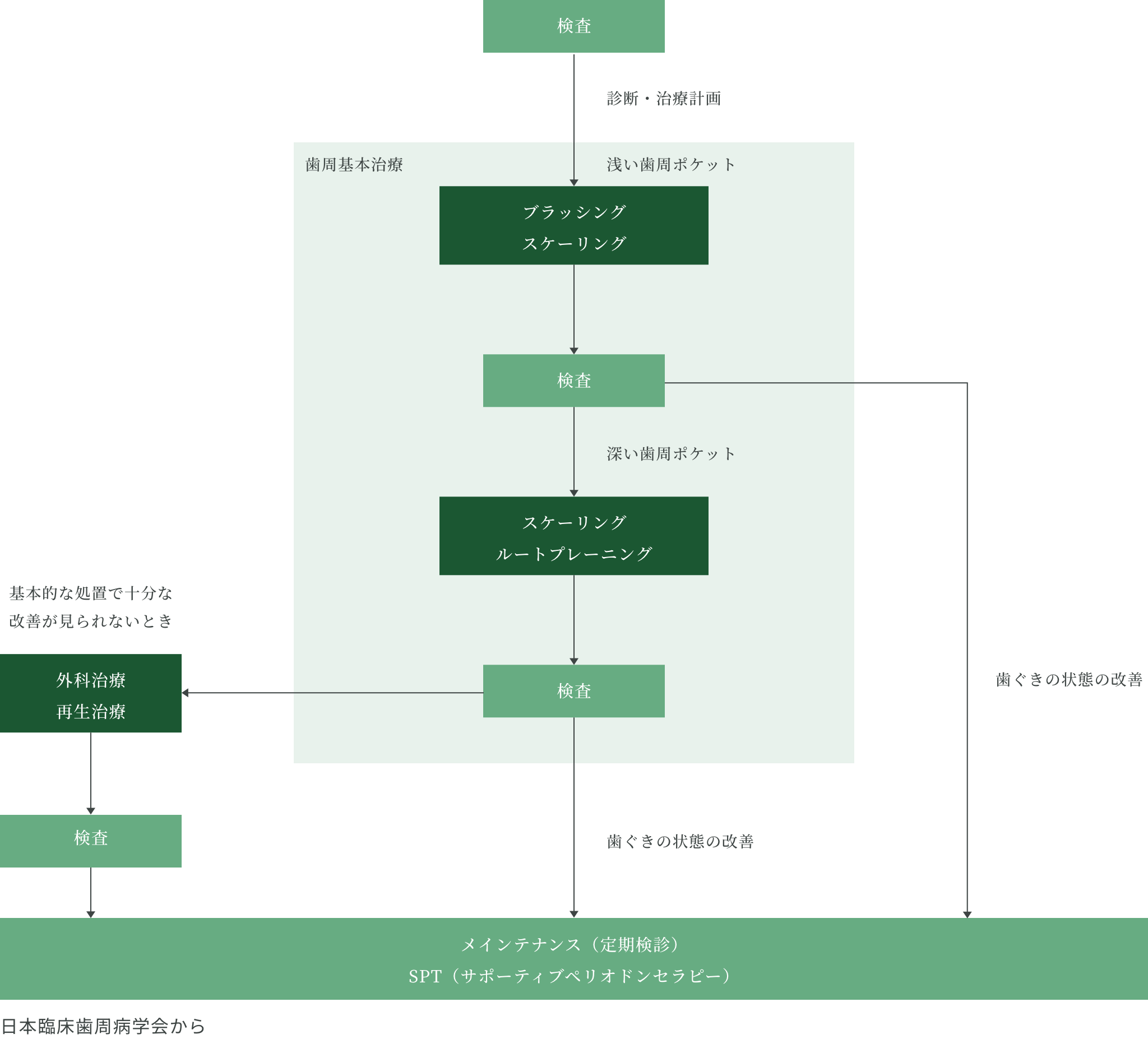 歯周病治療の流れを示すフローチャート。検査から始まり、診断・治療計画を経て、浅い歯周ポケットの場合はブラッシングとスケーリングを行い、その後再検査。深い歯周ポケットの場合はスケーリング・ルートプレーニングを実施し、再検査。基本的処置で改善が見られない場合は外科治療や再生治療を行い、再検査を実施。歯ぐきの状態が改善した後、最終的にメインテナンス（定期検診・SPT：サポーティブペリオドンタルセラピー）へ移行する。日本臨床歯周病学会の資料に基づく。